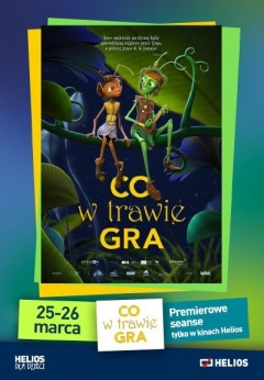 Co w trawie Gra Helios dla dzieci